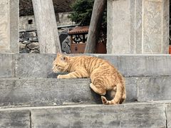 -雁门关景区