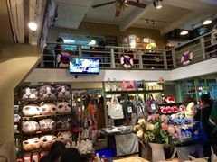 -猫咪博物馆(顶澳仔猫街店)