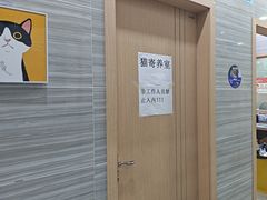 -瑞派名望志远动物医院·猫科·內科·异宠专科(直港大道店)