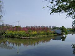 -南汇桃花村