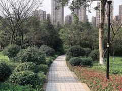 -龙头寺公园
