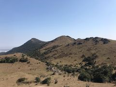 -大姆山草场