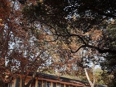 -T80科技文化国际社区-停车场