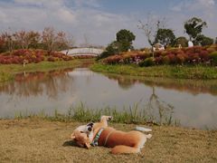 -花开海上生态园