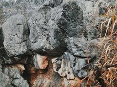 -千岛湖石林