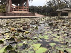 -广州莲花山旅游区
