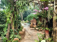 -石家庄市植物园