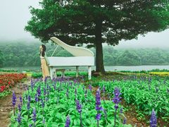 -广州市石门国家森林公园