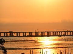 -宝安西湾红树林湿地公园