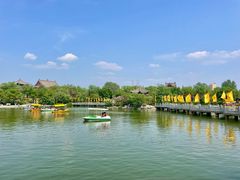 -大槐树寻根祭祖园