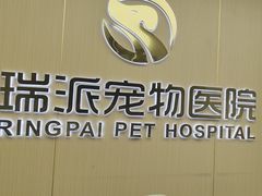 -瑞派康怡24h宠物医院·犬猫医疗中心·微创绝育(瑞景分院)