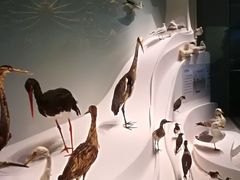 -贝林大翅鲸简餐厅(国家海洋博物馆店)