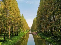 -黄海国家森林公园