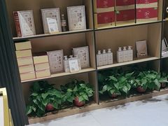 -金蚁康•经络调理•肩颈按摩(三山街店)