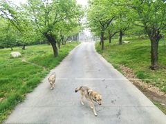 -西安秦岭野生动物园