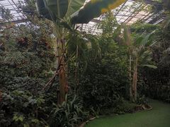 -呀路古热带植物园