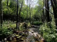 -玉渡山自然风景区