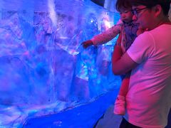 -芜湖新华联大白鲸海洋公园