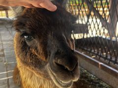 -鄂尔多斯野生动物园