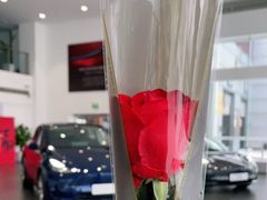 -TESLA 特斯拉(北京南四环中路特斯拉中心)
