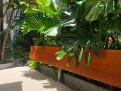 -农畉LONFOOD(福田星河COCOPark店)