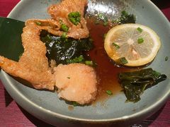 醋鸡珍-九州酒场ひこぞう(1号店)