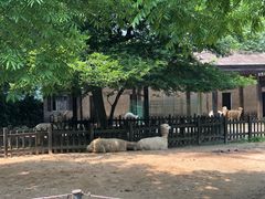 -南昌动物园