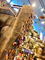 -卡通尼·Safari非洲探索乐园·生日会(金桥国际商业广场店)