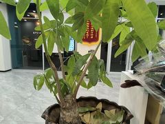 -德元·美联众合24小时动物医院(总院)