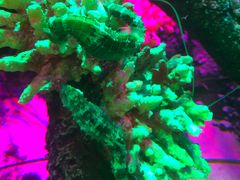 -沈阳海洋探索中心