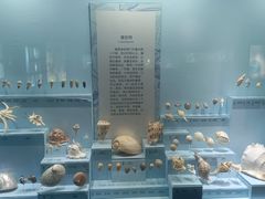 -温州博物馆