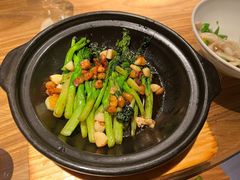 芥蓝苗炒蚶肉-富雅·尚品(浑南店)