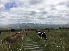 -新疆那拉提国家旅游度假区