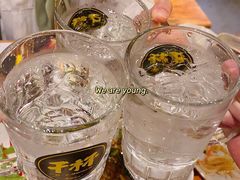 -飞行喵MR PILOT|猫舍·猫咖(静安大融城店)