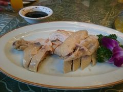 桃园散养鸡-小龙酒家(桂平路店)