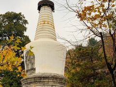 -大觉寺-停车场