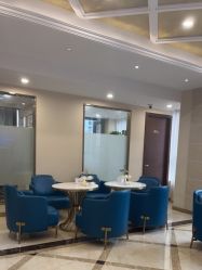 -碧莲盛·不剃发植发