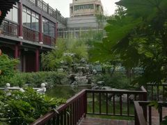 -溱湖国家湿地公园