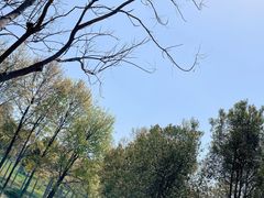 -合肥野生动物园