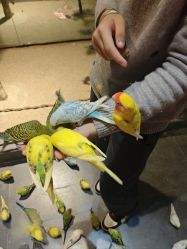 -酷嗒动物文化乐园(cutezoo西溪乐天城店)