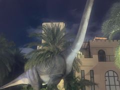 -亚马逊丛林水乐园