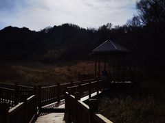 -白草畔自然风景区