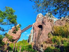 -奥兰多迪士尼动物王国乐园