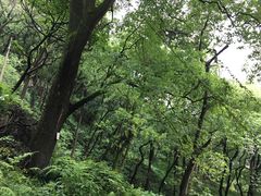 -道教老君洞