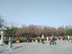 -西安青龙寺遗址景区