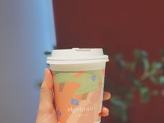 -代数学家algebraist(诚品店)
