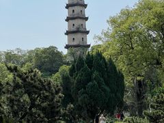 -江心屿景区