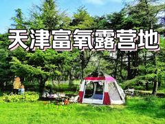 -泰丰公园
