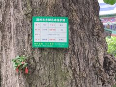 -章华寺
