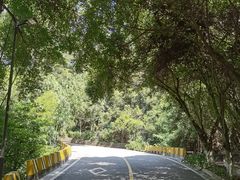 -大雁山风景区